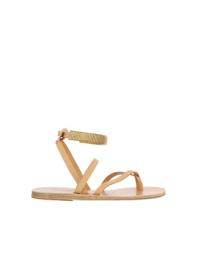 Ancient Greek Sandals Ohia Ankle-strap Leather Sandals In Nude
