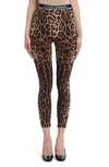 Dolce & Gabbana Leopard Print Silk Stretch Charmeuse Crop Leggings In Light Brown Print