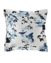 ROBERTO CAVALLI BIRDS RAMAGE EUROPEAN SHAMS, SET OF 2,PROD223630111