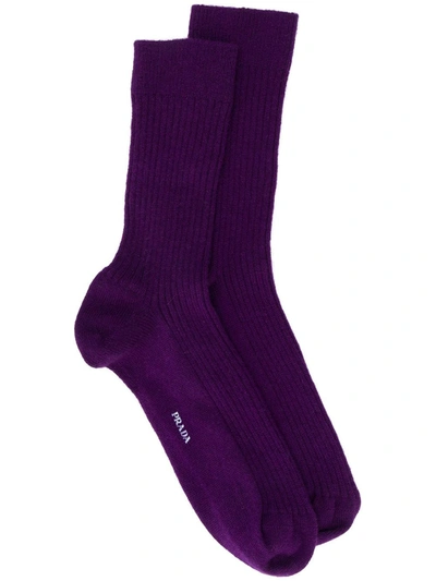 Prada Ribbed Logo Socks In Purple
