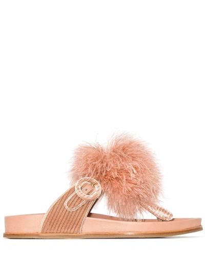 Aquazzura Boudoir Velvet Feather Thong Sandals In Pink