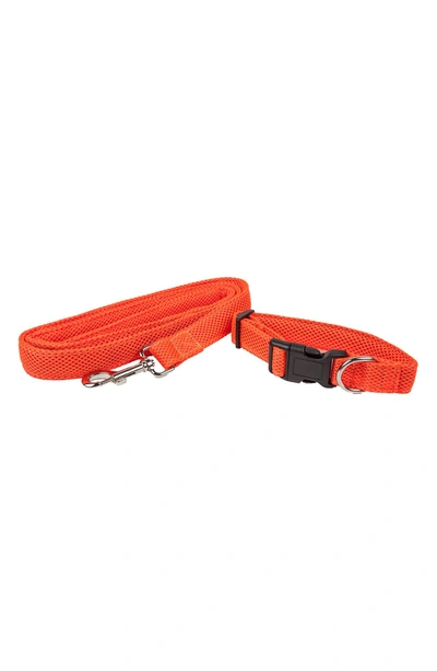 Pet Life Aero Mesh 2-in-1 Breathable And Adjustable Dual-sided Mesh Dog Leash And Collar In Orange At Nordstr