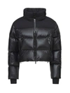 Moncler Jasione Cropped Padded Down Jacket In Black