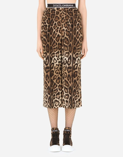 Dolce & Gabbana Leopard-print Woolen Culottes With Branded Elastic In Multicolor