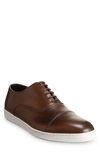 ALLEN EDMONDS PARK SNEAKER,5206