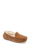 Ugg Boy's Ascot Suede Slippers W/ Wool-lining, Kids In Chestnut