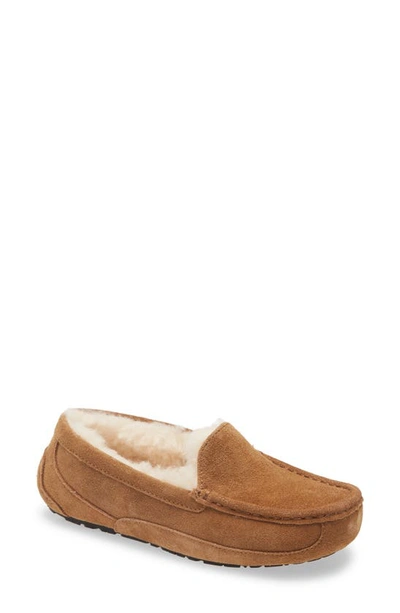 Ugg Kids' 人造皮毛一体衬里乐福鞋 In Chestnut