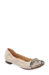 Agl Attilio Giusti Leombruni Monika Cap Toe Ballet Flat In Oslo/ Hidrangen/ Gold