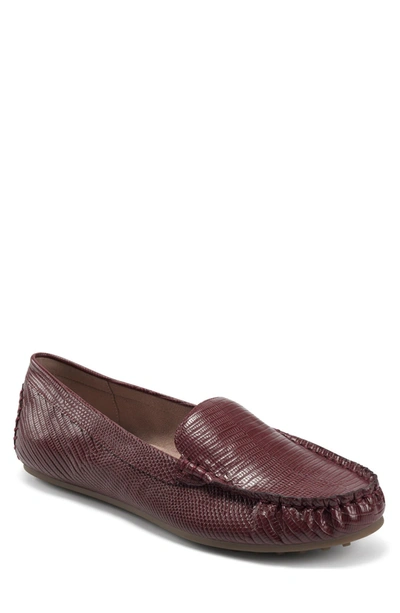 Aerosoles Over Drive Loafer In Wine Snake