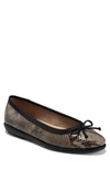 Aerosoles Women's Homebet Ballet Flats Women's Shoes In Brown Snake