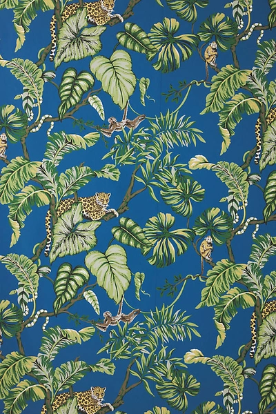 York Wallcoverings Jungle Cat Wallpaper In Blue