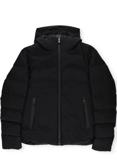 Herno Hooded Puffer Jacket In Black