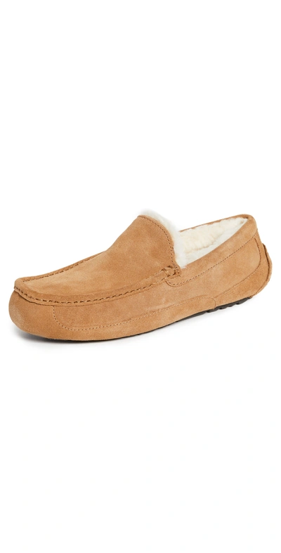 Ugg Ascot Wool-lined Suede Slippers In Beige