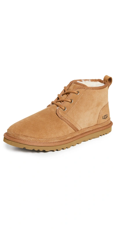 Ugg Neumel Boots In Chestnut