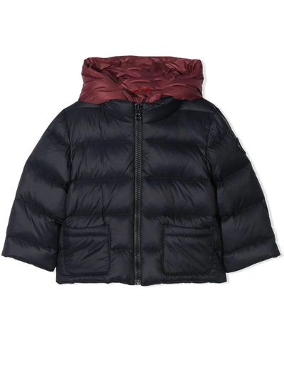 Fay Babies' Blue And Red Padded Jacket