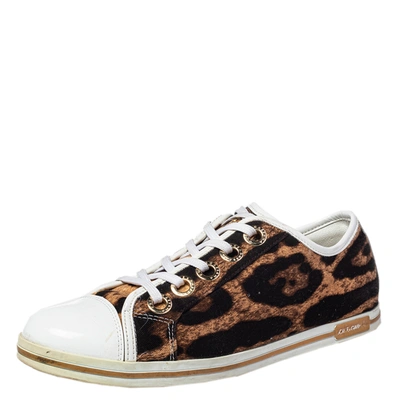 Pre-owned Dolce & Gabbana Brown/white Leopard Print Canvas And Leather Lace Low Top Sneakers Size 38