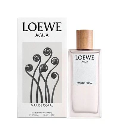 Loewe Agua Mar Coral Edt 100ml In White