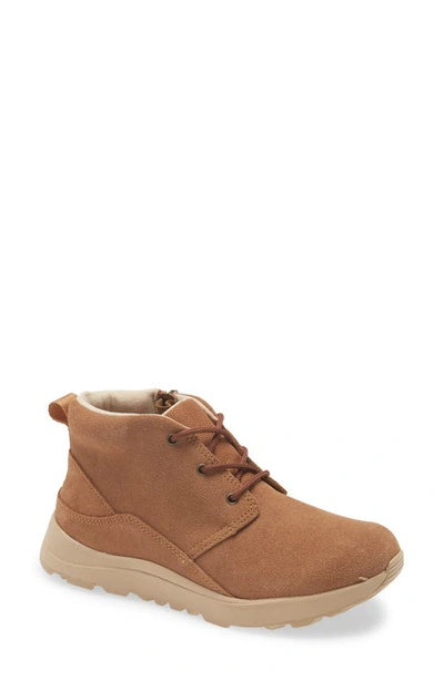 Ugg Kids' Canoe Iii Weather Sneaker In Chestnut Suede