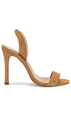 Steve Madden Women's Marbella Dress Sandals In Tan