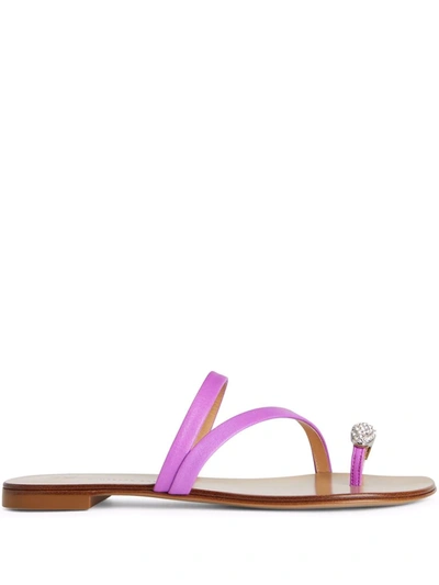 Giuseppe Zanotti Hillary Ring Slides In Violett