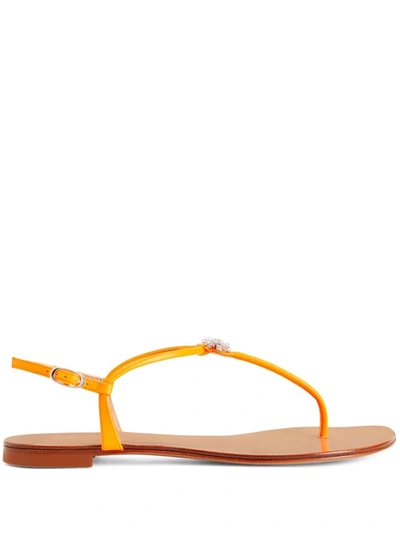 Giuseppe Zanotti Hollie Crystal Leather Flip Flops In Orange