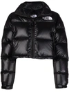The North Face Logo-print Cropped Feather-down Puffer Jacket In Black