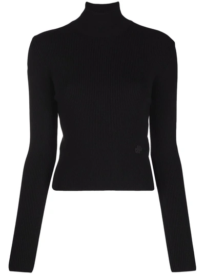 Patou Narrow Ribbed Jumper With Turtleneck In Multi-colored