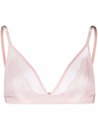 Karl Lagerfeld Lace Triangle Bra In Pink