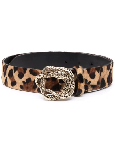Just Cavalli Leopard-print Engraved Buckle Belt In Neutrals