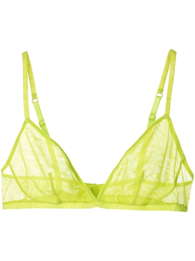 Dolce & Gabbana Transparent Triangle-cup Bra In Yellow