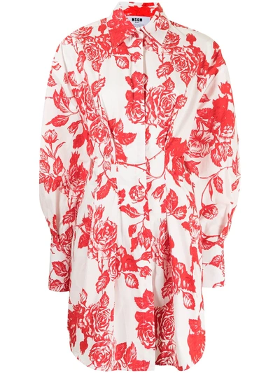 Msgm Rose-print Shirt Dress In White