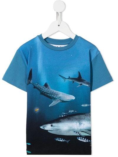 Molo Kids' Shark-print Organic Cotton T-shirt In Blue
