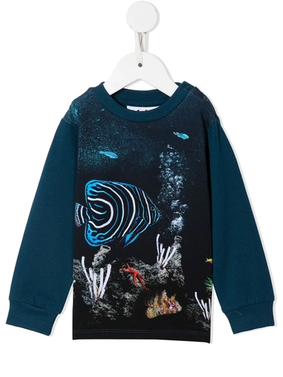Molo Babies' Botanical-print Cotton Sweatshirt In Blue