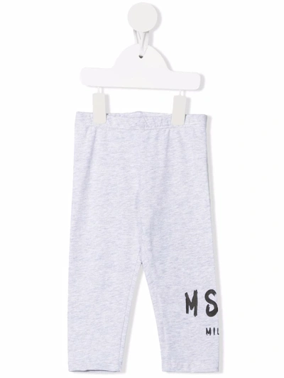 Msgm Babies' Logo-print Cotton Leggings In Grey
