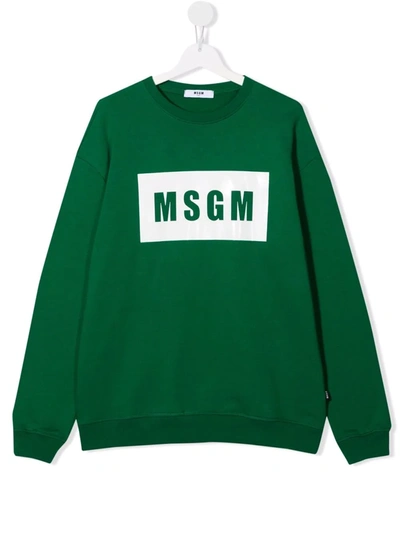 Msgm Teen Logo-print Cotton Sweatshirt In Green