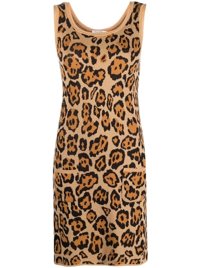Pre-owned Dior 2010s  Animal-pattern Knitted Dress In Neutrals