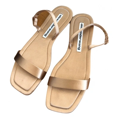 Pre-owned Alexander Wang Leather Sandal In Gold