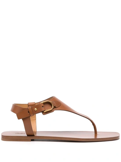 Ralph Lauren Delancie Sandals In Brown