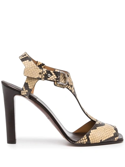 Polo Ralph Lauren Emilie Sandals In Brown