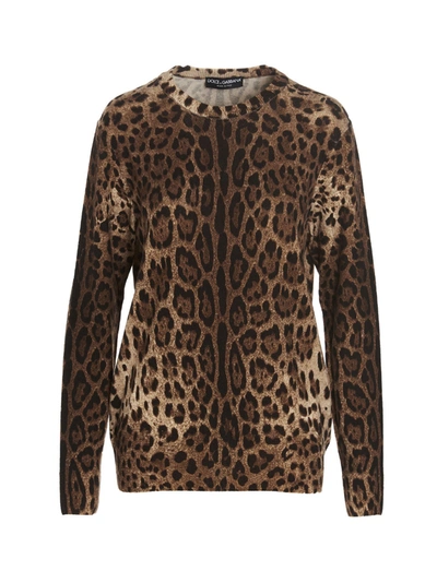 Dolce & Gabbana Cashmere Animal Print Sweater In Multicolore