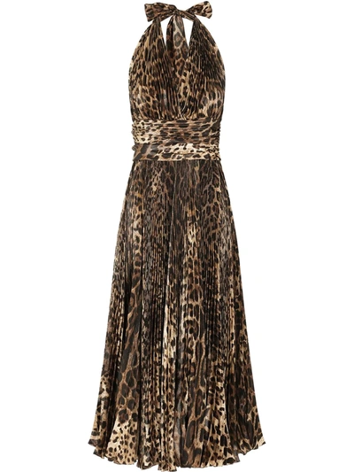 Dolce & Gabbana Open-back Leopard-print Plissé Silk-blend Halterneck Midi Dress In Brown