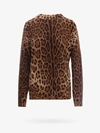 Dolce & Gabbana Leopard Print Cashmere Sweater In Brown