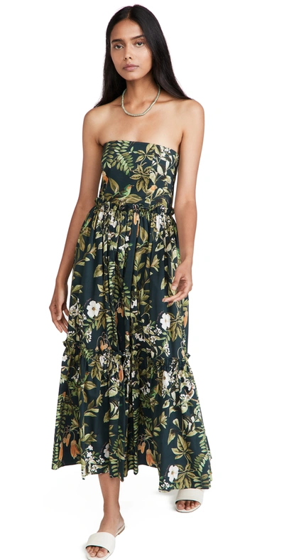 Cara Cara Torres Green Printed Cotton Midi Dress In Botanical Birds Emerald