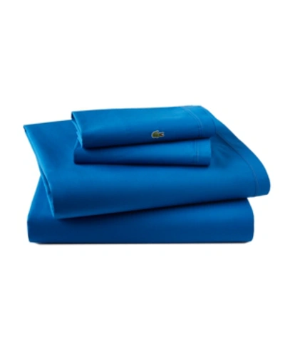 Lacoste Home Lacoste Percale Queen Solid Sheet Set Bedding In