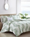 Tommy Bahama Kauai 5pc Green Comforter Set In Jasmine Green