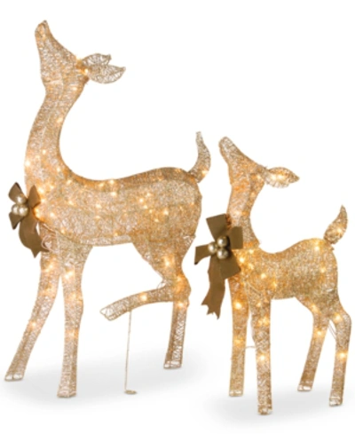 National Tree Company Crystal Splendor Champagne 38" Doe & 28" Fawn With 105 Total Mini Lights, Set Of 2 In Gold