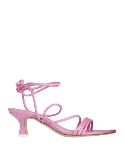 3juin Woman Thong Sandal Fuchsia Size 7.5 Leather In Pink