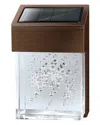 3p Experts Brookstone Solar Powered Decorative Light In Brown