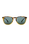 OLIVER PEOPLES FINLEY SUNGLASSES,OPEO-MA8