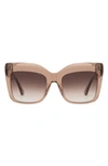 Diff Vania 49mm Cat Eye Sunglasses In Cafe Ole/ Brown